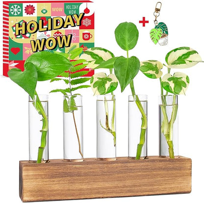 KAXYEW Plant Propagation Station, Plants Propagation Tubes, Gifts for Plant Lovers, Plants Cutting Holder Test Tube Vase Office Desk Garden Décor Gift for Her Mom Women Hydroponic Vase New Gift Box