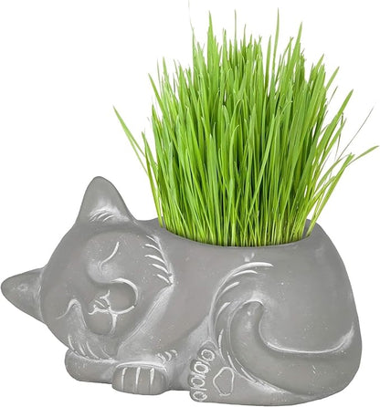 Classic Home and Garden Cement Buddies Animal Planter - Cute Desk Decoration - UV Coated Animal Vase w/Drain Plug - Succulent Plant Pot for Indoor/Outdoor Use (Cat Planter, Natural, Small)