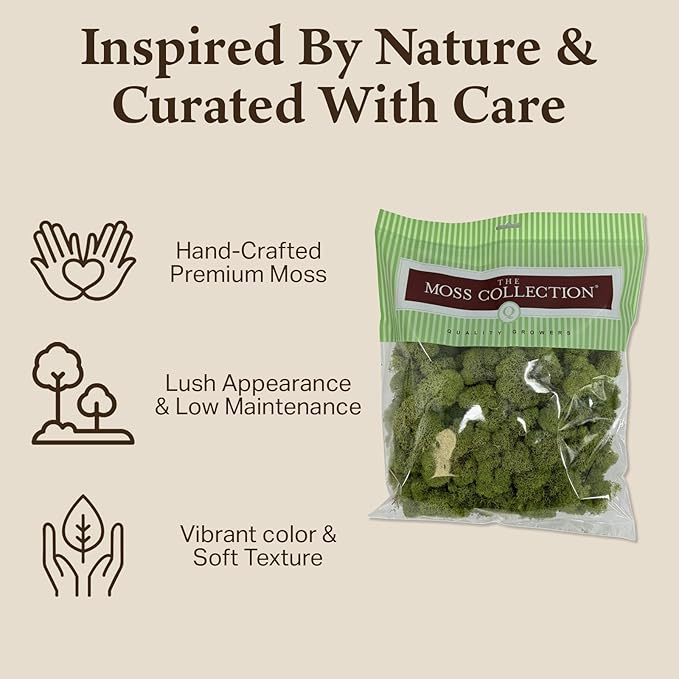 Quality Growers - Preserved Reindeer Moss - Moss for Crafts, Home Decor, Art, Design & DIY Projects - Non-Toxic - USA Made (Spring Green, Medium, 2-Pack)