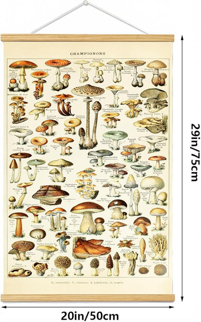 Vintage Flowers Poster Hanger Frame, Plant Floral Reference Chart Wall Decor Cottagecore Room Decor Aesthetic, Retro Style Wall Decor Art Painting Prints. (mushroom A, 29L x 20W)