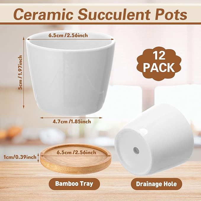 Hsei 12 Pack 2.5 Inch Mini Succulent Plant Pots Small Ceramic Flower Pot with Bamboo Tray Garden Cactus Herb Container, Home Office Decoration for Christmas Birthday Wedding Favor Gifts (White)