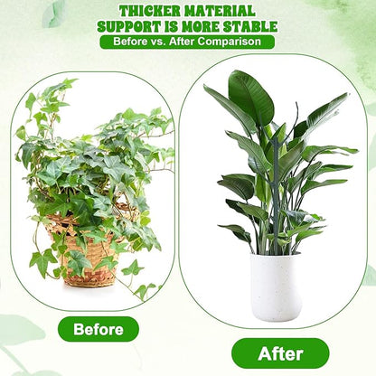 5Pcs Stackable Monstera Plant Support Stake Stem Holder Structures Frame & Plant Cage Support Ring for Sphagnum Twig Trellis Indoor Outdoor Potted Plants Stick for Vine Training & Stem Stabilization