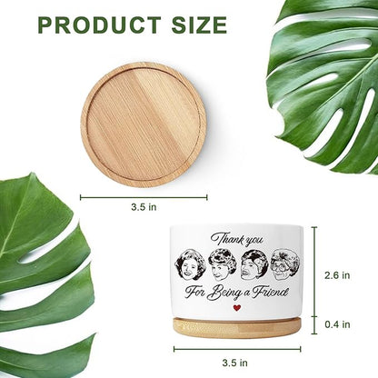 Friend Gifts for Women, Succulent Planter, Flower Cactus Plant Pot, Friendship Gifts for Women Friends Bestie Sister, Golden Merchandise, Thank You for Being A Friend (No Plants)