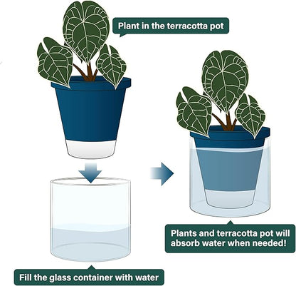 D'vine Dev 6 Inch Design Self Watering Planter for Indoor Plants, Blue Terracotta Pot with Cylinder Glass Cup, Set of 2, 37-Y-B-4