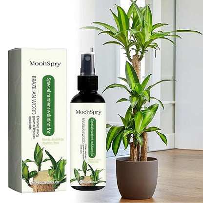 MoonSpry Brazilian Lucky Wood Plant Food, Lucky Bamboo Liquid Fertilizer，Brazilian Wood Indoor houseplant Fertilizer，Bamboo Indoor Plant Food，Fertilizantes de brasileña y árbol de la Suerte 1pc*100ml