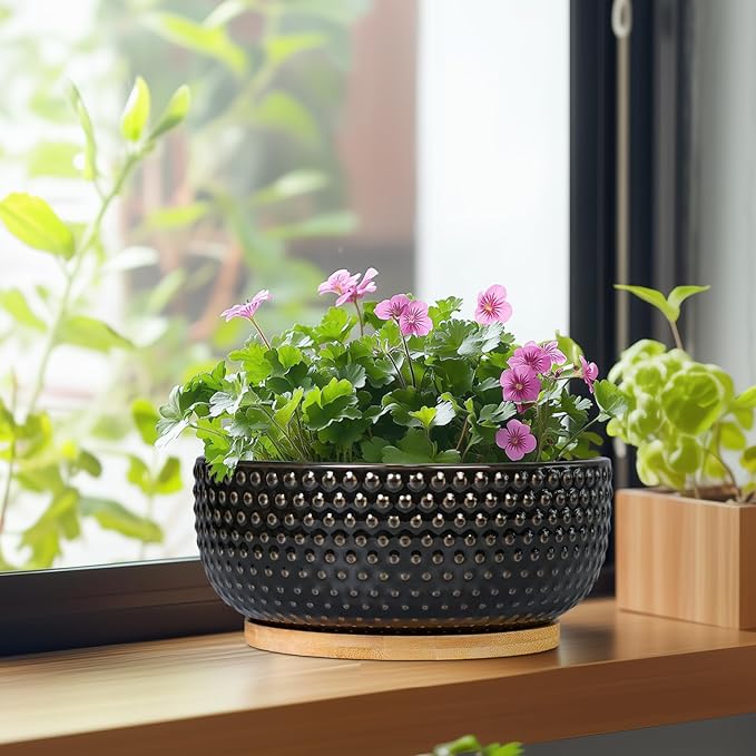 Bonsai Tree Pot - 8 Inch Ceramic Succulent Planters with Drainage and Plant Tray, Boho Round Shallow Bowl for Indoor Plants, Office Decor, Housewarming Gift, Black