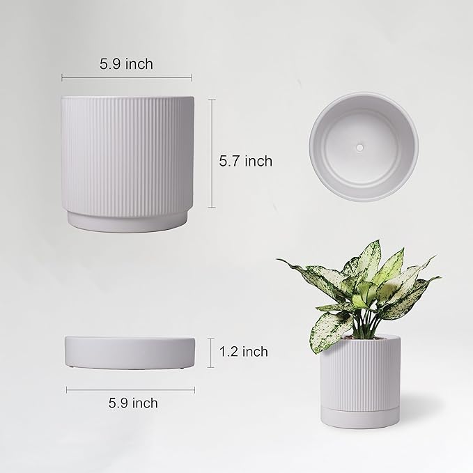 6 Inch Ceramic Plant Pot with Drainage & Saucer - Indoor Planter for Succulents, Cacti & Aloe Vera - Striped Design, High-Temp Fired Clay, Lightweight Modern Decor White