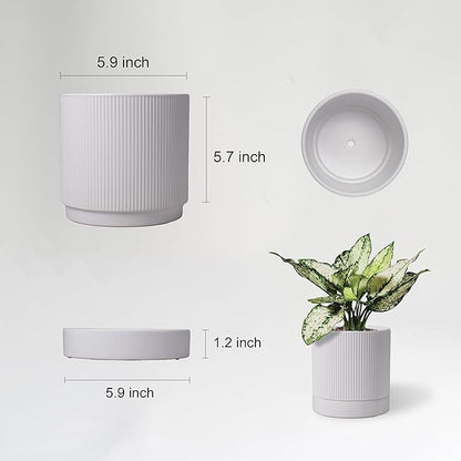 6 Inch Ceramic Plant Pot with Drainage & Saucer - Indoor Planter for Succulents, Cacti & Aloe Vera - Striped Design, High-Temp Fired Clay, Lightweight Modern Decor White