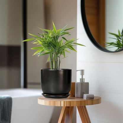 Ceramic Planter 7 Inch - Cylinder Round Modern Indoor Plant Pot for Plants with Drainage Hole and Saucer, Room Home Patio Office Patio Decor, Black