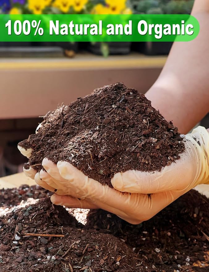 TOYPOPOR Succulent Soil, Cactus Potting Mix 12.5 Pounds/10QTS, High Drainage, Pre-Mixed Ready to Use for All Succulent Varieties, Indoor Plants, Bonsai, Terrarium, Houseplant, 30% Particles 70% Soil