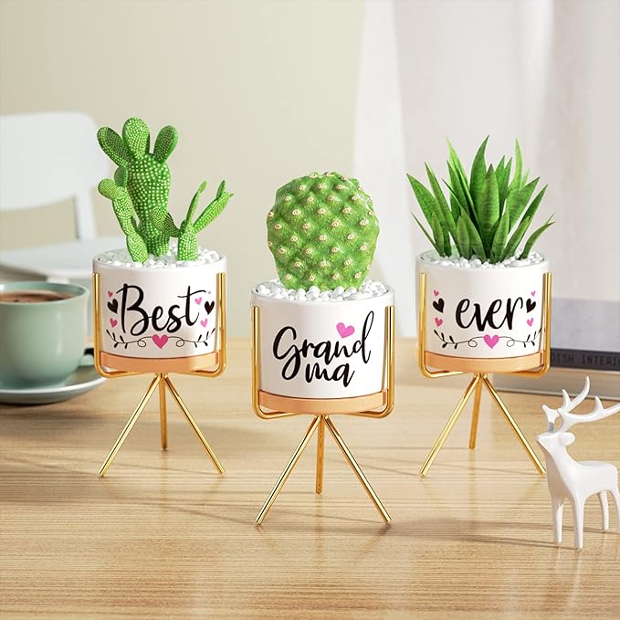 Christmas Grandma Gifts Best Gifts for Grandma from Grandchildren Granddaughter, Best Grandma Ever Succulent Pots for Plants Indoor Ceramic Planter, Gift Boxed Cute Grandma Birthday Thanksgiving Gifts