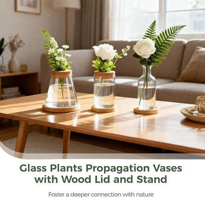 6PCS Plant Propagation Station, Desktop Plant Propagation Jars with Wood Lid and Stand, Glass Propagation Vases for Plant Growing, Hydroponic Home, Office Decor (6 Styles)