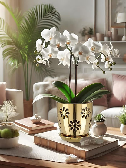 Oairse 6 inch Orchid Pots with Holes, Gold Ceramic Orchid Pot for Repotting Small Indoor Plant Pots with Drainage Holes and Saucers Decorative Flower Planter for Orchids, Indoor Plant