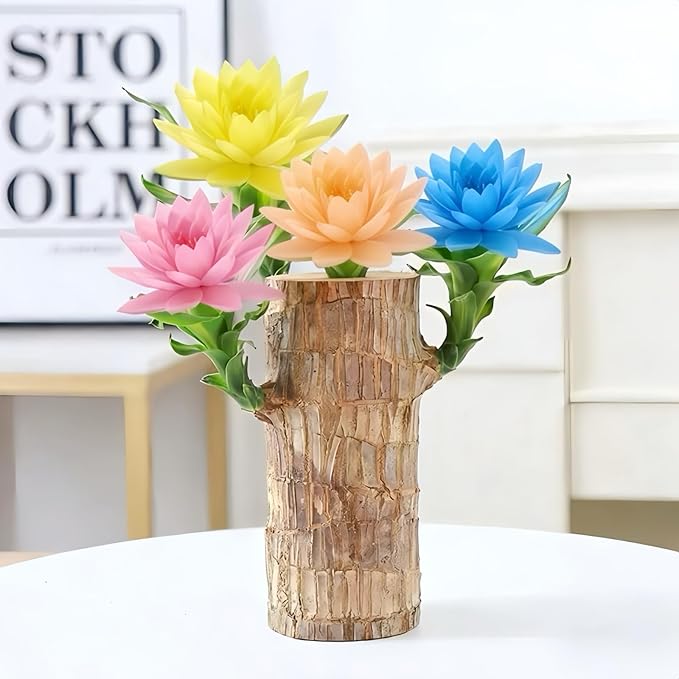 Brazilian Wood Plants,with Base and Mystery Doll Decorations, Easy to Plant in The Home Office to attracts Wealth,Lucky Wood Plant,Home Decoration
