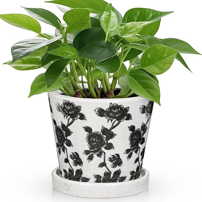 Ceramic Pot for Indoor Plants - 5.5 inch Flower Pot for Plants with Drainage Holes and Saucer Ice Crack Diamond Rose Flower Pattern Ceramic Planter for Outdoor Indoor Herb Snake Plant (Black & White)
