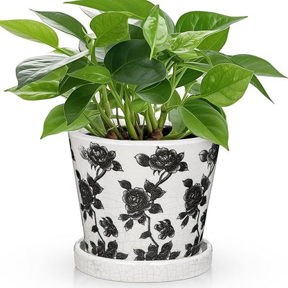 Ceramic Pot for Indoor Plants - 5.5 inch Flower Pot for Plants with Drainage Holes and Saucer Ice Crack Diamond Rose Flower Pattern Ceramic Planter for Outdoor Indoor Herb Snake Plant (Black & White)