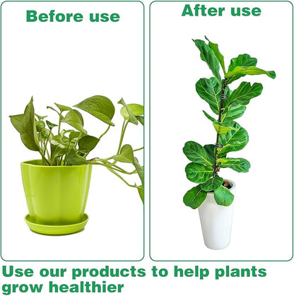 50Pcs Plant Stake Clip Set Green, Plant Sticks Supplies Support Tall, Useful Support Clips, Fine Workmanship Allow Bending Suitable for Various Plant Pots Indoors and Outdoors