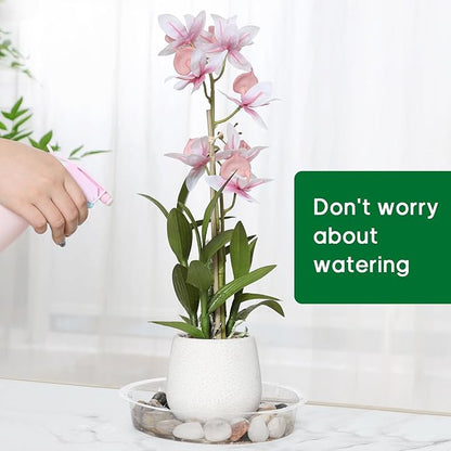 JERIA 6 Inch 20 Pack Clear Plant Saucers,Plastic Flower Pot Trays,Round Durable Plant Drip Trays for Indoor and Outdoor