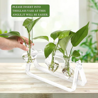 Clear Plant Terrarium Propagation Stations with Acrylic Stand Birthday Gifts for Women Office Home Decor