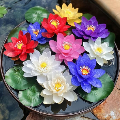 25 Lotus Seeds for Planting in Water Bowl, Non-GMO Mixed Lotus Seeds, 80%+ Germination Rate Water Lilly Seeds, Beautiful Water Plants for Home, Garden, Indoor and Outdoor