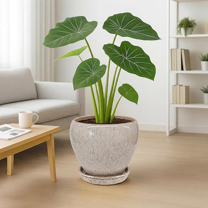 Deep Dream 10 Inch Plant Pot- Ceramic Planter Pot Round Plant Pots for Indoor Plants Outdoor Large Flower Pot with Drainage Holes & Trays, Beige