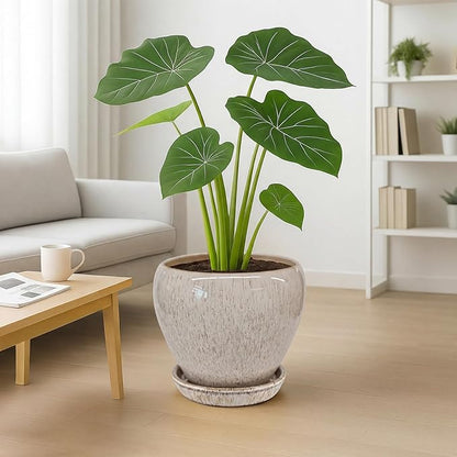 Deep Dream 10 Inch Plant Pot- Ceramic Planter Pot Round Plant Pots for Indoor Plants Outdoor Large Flower Pot with Drainage Holes & Trays, Beige