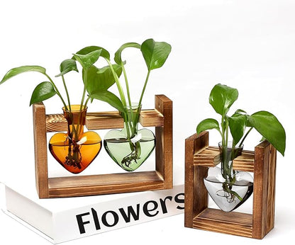 2+1 Plant Terrarium Plant Propagation Station Birthday Gifts for Women Home Office Decor with Wooden Stand