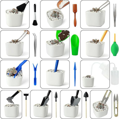 Succulent Tools Kit with Organizer Bag- 13Pcs Indoor Gardening Tools |Mini Succulent Hand Tools with Tote, Succulent Transplanting Supplies, Present for Gardeners Plant Care (Rose)