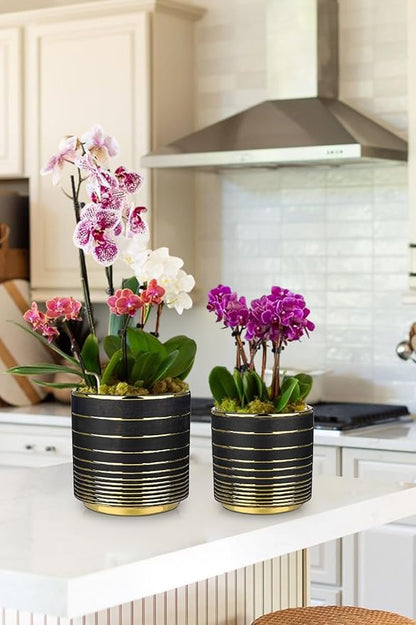 Black Ceramic Plant Pots, 5.5 + 6.2 Inch Gold Striped Panters for Plants, Modern Flower Pots for Home and Office, Indoor Planters with Drainage for Succulent Cactus Home Decoration Gift Indoor Outdoor