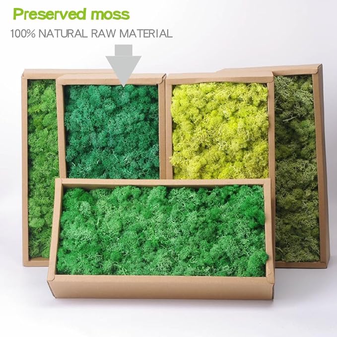 Preserved Reindeer Moss Craft Kit - 17.6oz Natural Green - DIY Art Wall Florist Terrariums Decor (Turquoise 17.6 OZ)