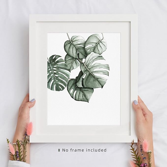 Plant Prints Wall Art Decor for Living Room, 8x10 Poster Canvas Prints Unframed Set of 6, Boho Wall Art Leaf Art Print Plant Posters Aesthetic