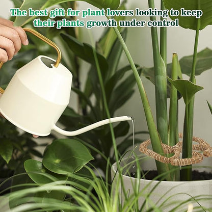 2PC Bendable Plant Climbers Stem Holders, 11.8 Inch Natural Coconut Fiber Climbing Houseplant Monstera Stem Supports, Reusable Flower Plant Stakes Trellis Stem Growth Accessories for Plant Indoor