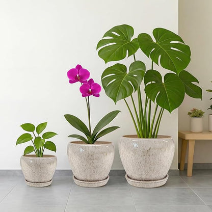 Deep Dream 6 Inch Plant Pots- Ceramic Planter Pot with Drainage Hole and Saucer, Round Flower Pot for Indoor Outdoor Succulent, Snake Plants and Cactus, Beige