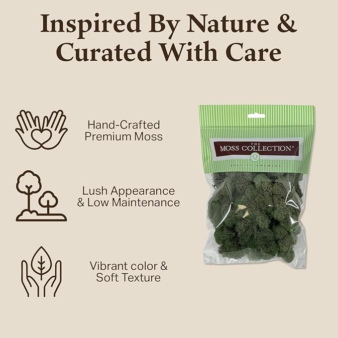 Preserved Reindeer Moss - Moss for Crafts, Home Decor, Art, Design & DIY Projects - Non-Toxic - USA Made (Basil, Small)