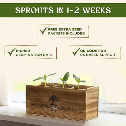 Avergo Bonsai Tree Kit – 3X Unique Japanese Bonzai Trees | Complete Indoor Starter Kit for Growing Bonsai Plants with Tools & Planters – Gardening Gifts for Women & Men