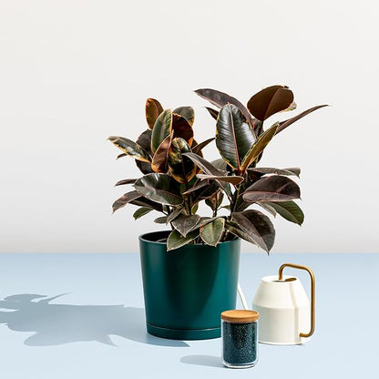 Outdoor Pots Made from 100% Recycled Maritime Plastics– Round Plastic Plant Pot for Garden or Indoor/Outdoor Use, Durable Plastics Outdoor Pot, Recycled Plastic Pots for Plants, Medium
