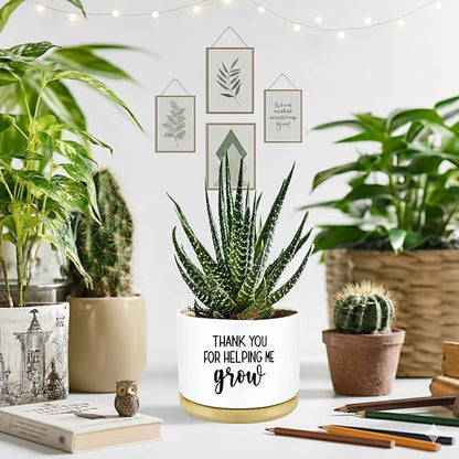 Thank You for Helping Me Grow Plant Pots Funny Small Succulent Pots Gifts Cute Planters Flower Pots Ceramic Pot for Plants Cactus, Thank You Plant Pot for House Indoor Garden, Plant Not Included