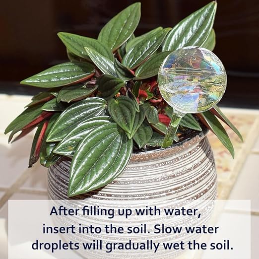 2pcs Glass Plant Watering Globes, Clear Rainbow Color Flower Self-Watering System Spikes, Automatic Plant Waterer Bulbs for Indoor & Outdoor Plants Everyday Use