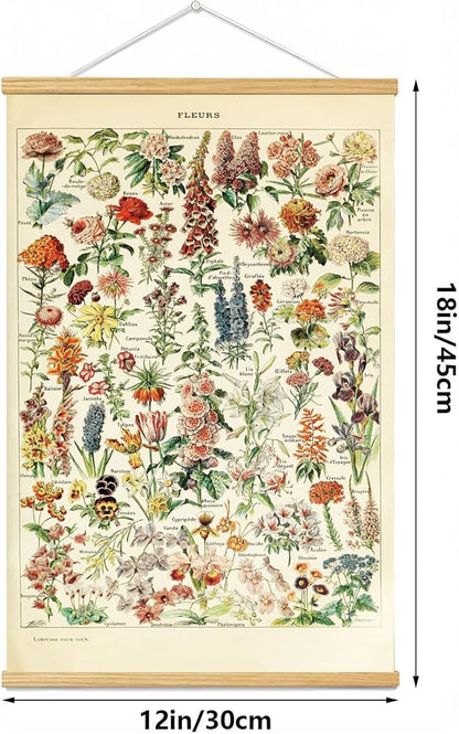 Vintage Flowers Poster Hanger Frame, Plant Floral Reference Chart Wall Decor Cottagecore Room Decor Aesthetic, Retro Style Wall Decor Art Painting Prints. (plant D, 18L x 12W)