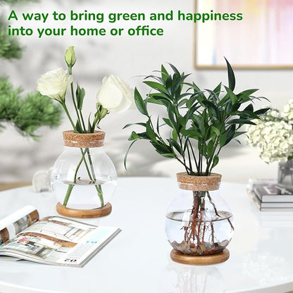 Propagation Station, Larger Capacity Ball Vase with Base for Hydroponic Plants, Home/Office Decor & Gift for Plant Lovers, 2pcs Glass Terrariums