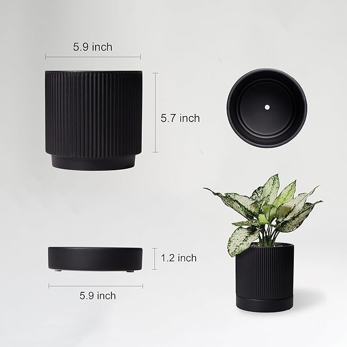 6 Inch Ceramic Plant Pot with Drainage & Saucer - Indoor Planter for Succulents, Cacti & Aloe Vera - Striped Design, High-Temp Fired Clay, Lightweight Modern Decor