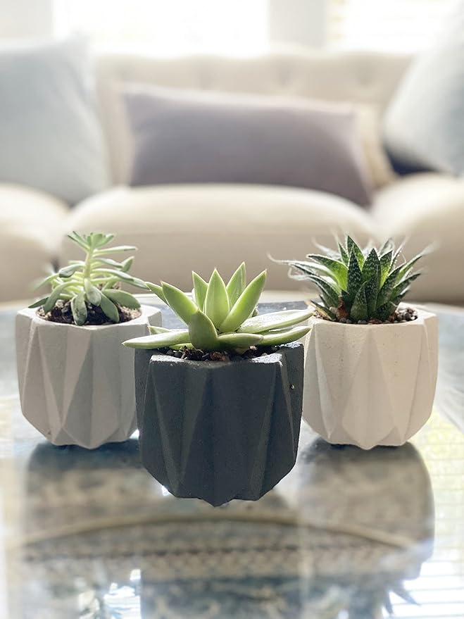 Geometric Nordic Cement Succulent Pots 4.3" Planters with Drainage | 3 Pack…