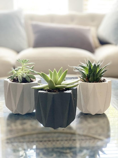 Geometric Nordic Cement Succulent Pots 4.3" Planters with Drainage | 3 Pack…