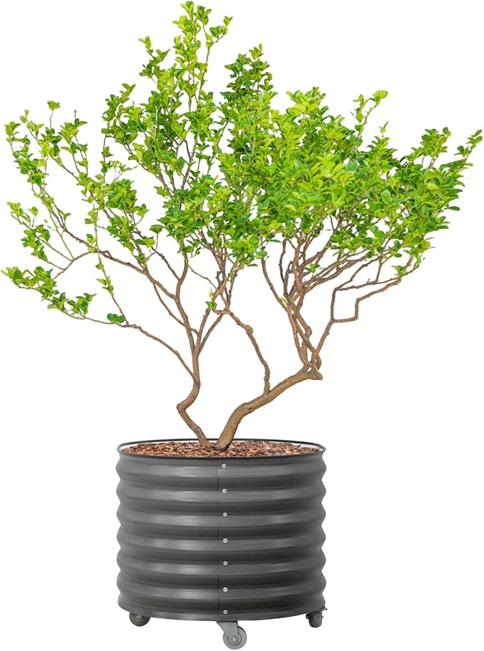 Rolling Metal Citrus Tree Planter Pot, 27″ Round Planter Box for Porch Patio & Backyard, 45 Gallon Large Planter Pot with Wheels for Growing Trees Tomatoes Vegetables and Flowers, Modern Gray