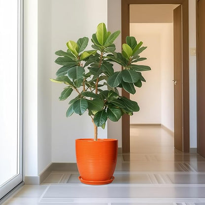 12 Inch Pots for Plants - Ceramic Plant Pots with Drainage Hole and Saucer, Modern Planter for Indoor Outdoor, Round Flower Planters, Porch Home Garden Decor, Gifts for Women, Orange