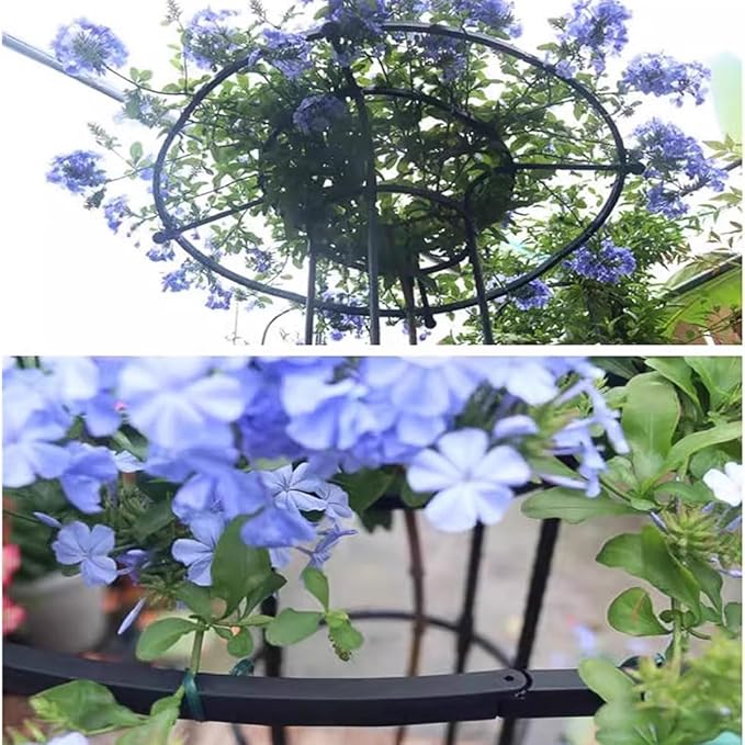 Garden Trellis for Climbing Plants and Flowers,Rustproof Metal Vertical Umbrella Trellis,Garden Obelisk Climbing Plant Trellis(Size:210cm,Color:Black)
