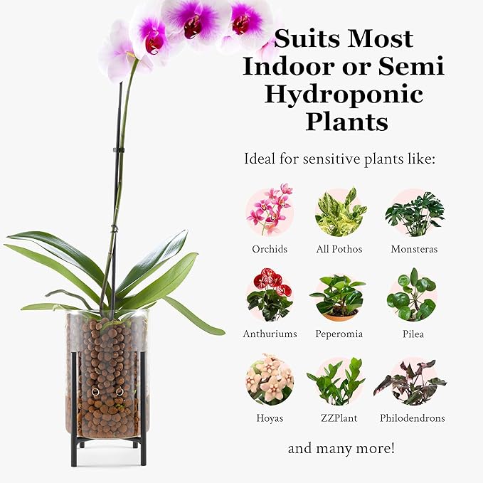 Pot & Pebble - C8 Glass Planter with Decorative Metal Base - Plant Propagation Station with Water Level Control - Plant Cutting Holder for LECA Clay Pebbles/Similar Media - Semi Hydroponic Planter