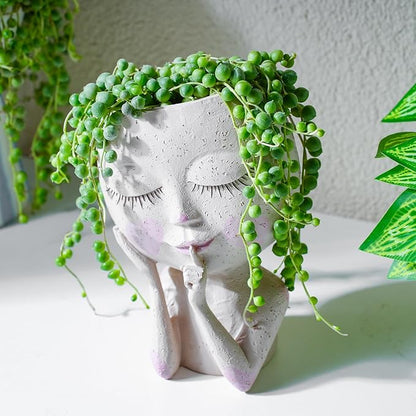 Live Succulent Plants String of Pearls, Rare Succulents Fully Rooted in 4" Pots with Soil, Easy-Care House Plant, Standard Packaging