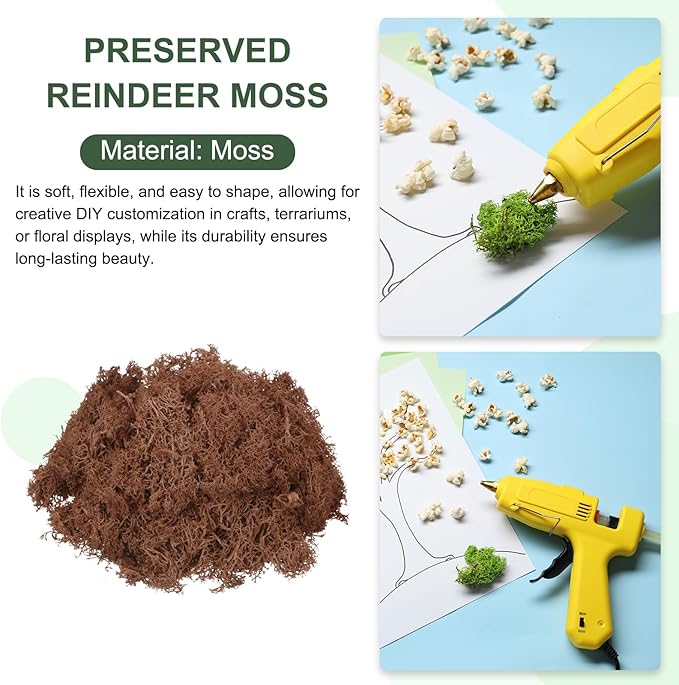MECCANIXITY 3oz Preserved Reindeer Moss, Coffee Decorative Artificial Fake Moss for Potted Plants Indoor Crafts Lichen Centerpieces Decor
