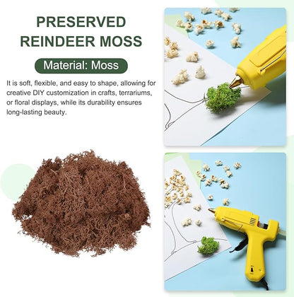 MECCANIXITY 3oz Preserved Reindeer Moss, Coffee Decorative Artificial Fake Moss for Potted Plants Indoor Crafts Lichen Centerpieces Decor